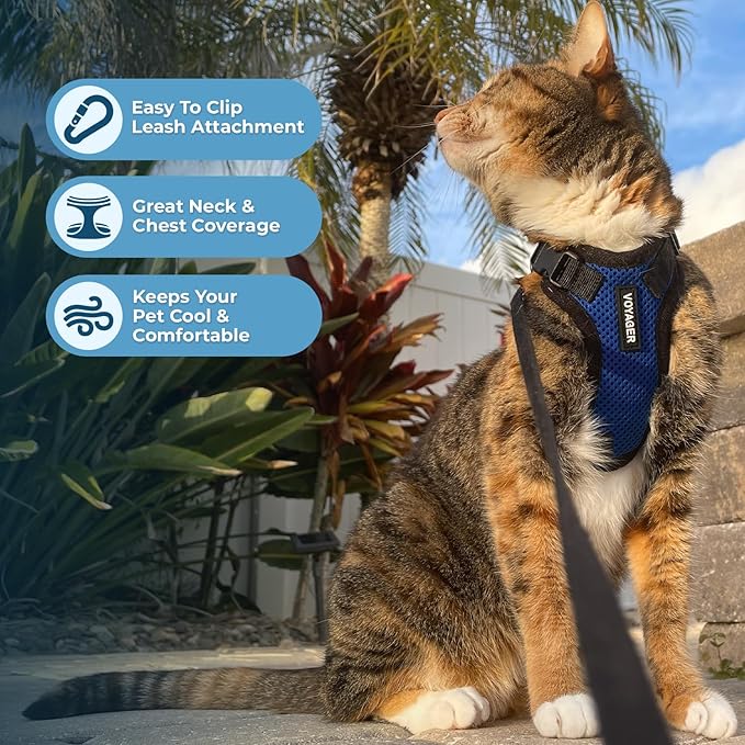 Voyager Step-in Lock Adjustable Cat Harness w. Cat Leash Combo Set with Neoprene Handle 5ft - Supports Small, Medium and Large Breed Cats by Best Pet Supplies - Royal Blue/Black Trim, XS