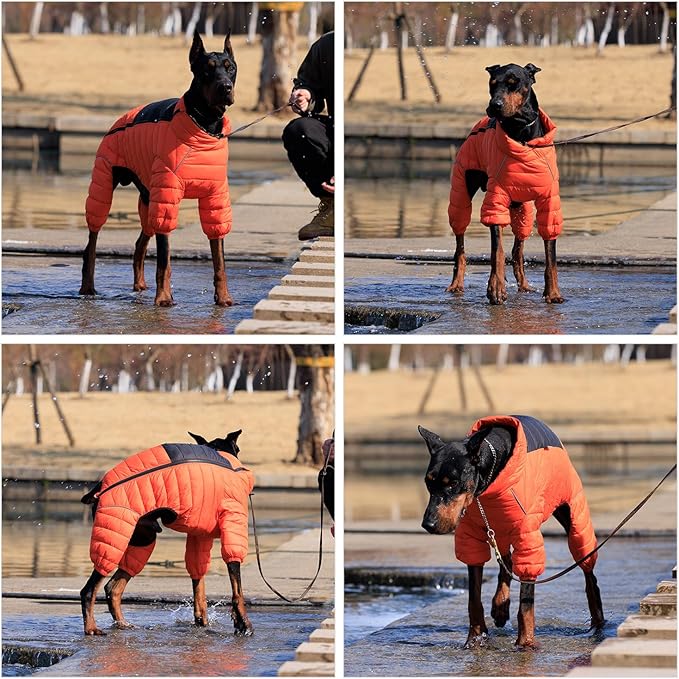 Warm Dog Coat, 4 Legs Covered Waterproof Windproof Reflective Vest, Zippered Adjustable Outdoor Snow Jacket for Small Medium Large Dogs, Orange M