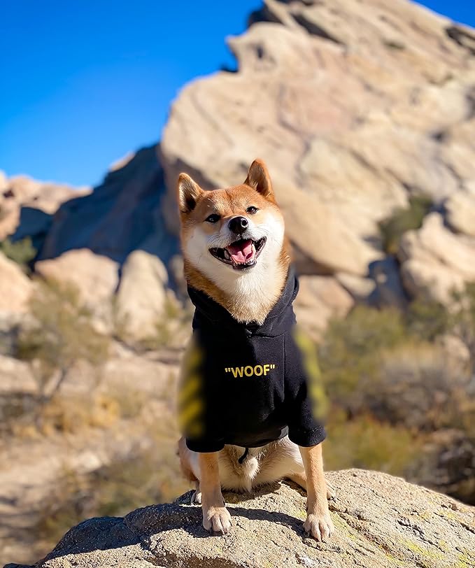 ChoChoCho Stylish Dog Hoodie Dog Clothes Streetwear Cotton Sweatshirt Fashion Outfit for Dogs Cats Puppy Small Medium Large (3XL, Yellow)