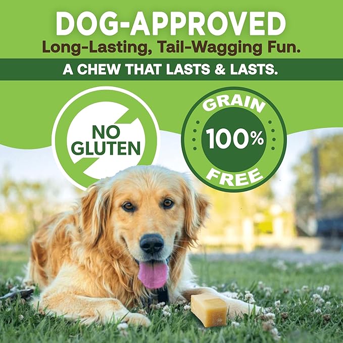 EcoKind Premium Gold Yak Cheese Himalayan Dog Chews, Dog Treats Large Breed, All Natural, High Protein Dog Chew, Cheese, Large - 5 Chews