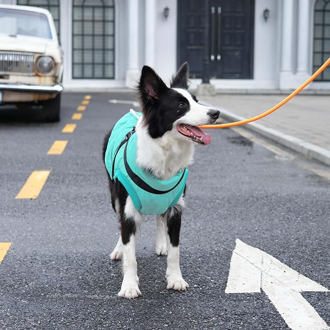 Dog Jacket with Harness,Fleece Lined Warm Puppy Coat for Winter,Soft Windproof Medium Dog Vest,Bluegreen XL