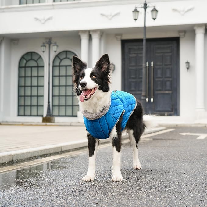 Warm Fleece Dog Coats with Durable Harness Buitl in D-Ring,Waterproof Puppy Jacket for Small Dogs,Dog Vest for Cold Winter,Light Blue S
