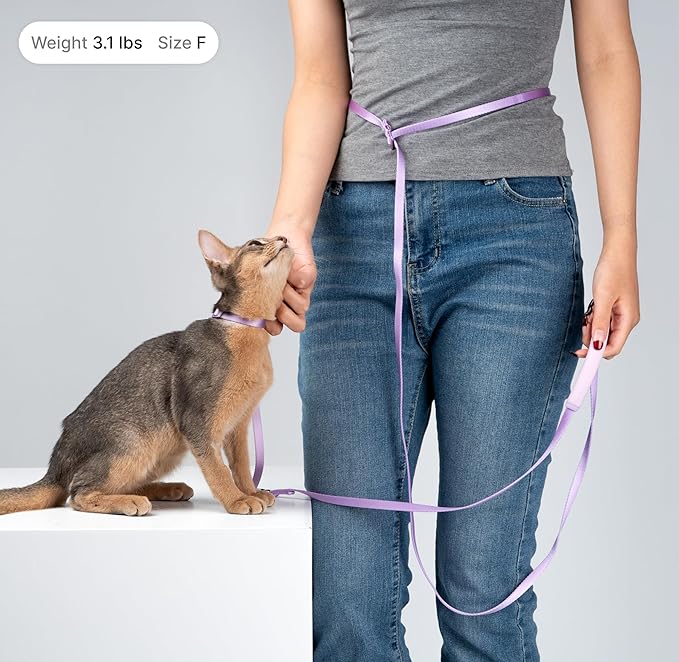Cat Harness and Leash Set, Lightweight Escape Proof Cat Harness Leash with Padded Handle, Adjustable Cat Leash and Harness for Kitten Small Large Cats Walking Training (Blush Pink, S)
