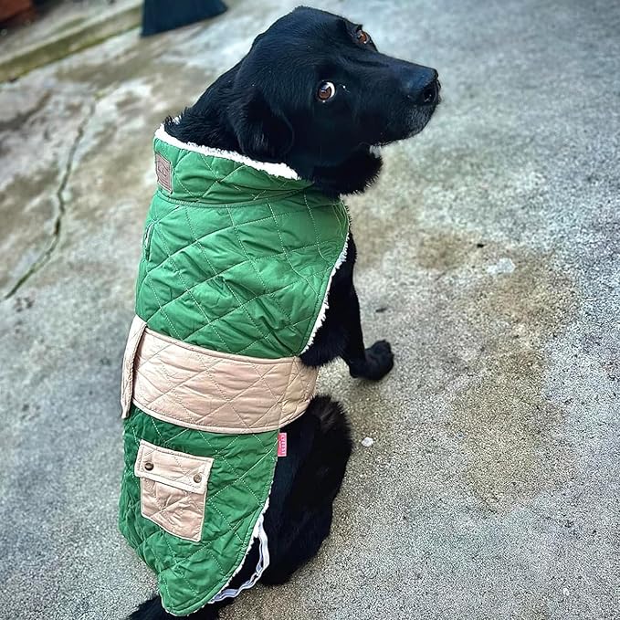 KYEESE Dog Coat Windproof Pet Sweater with Waterproof Pets Clothes for Cold Weather Thick Dog Coats for Medium Dogs Warm Pet Winter Puffer Coat with Leash Hole Soft Dogs Jacket with Pocket