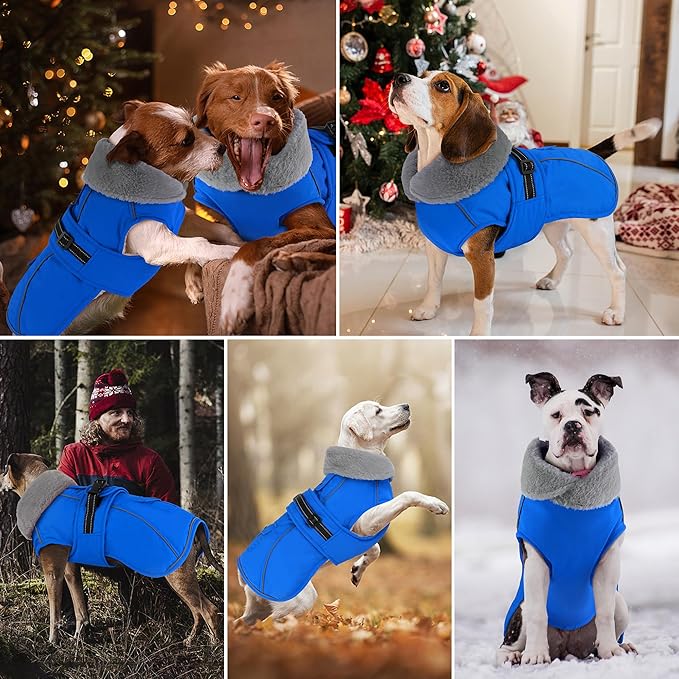 Dogcheer Dog Coat with Pocket, Waterproof Dog Jacket with Adjustable Buckle, Reflective Puppy Winter Coat Warm Turtleneck Fleece SnowJacket for Small Medium Large Dogs - Blue L
