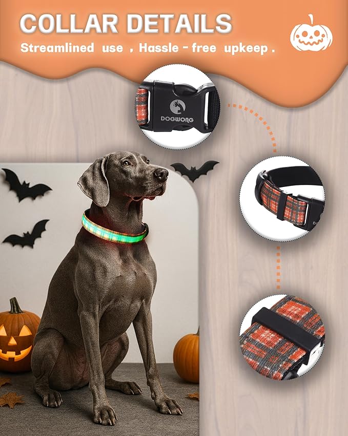 DOGWONG LED Dog Collar - Fall Orange Plaid Heavy Duty Light up Dog Collars - Rechargeable Waterproof - Lighted Dog Collars for Night Walking, Hiking, Camping(Orange Plaid,S)