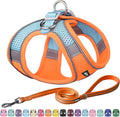 AIITLE Easy Walk Dog Harness and Leash Set - Pet Supply No Pull, Step in Adjustable Pet Harnesses with Padded Vest for Summer, No Choke Over, Easy to Put on Medium Dogs Orange L