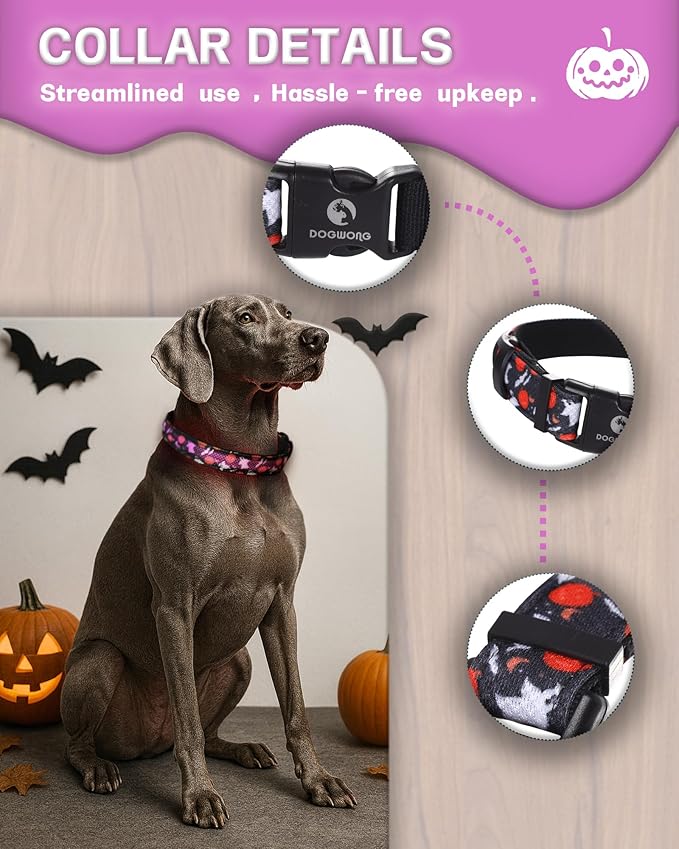 DOGWONG LED Dog Collar - Halloween Light up Dog Collars - Rechargeable Waterproof - Fall Lighted Dog Collars for Night Walking, Hiking, Camping