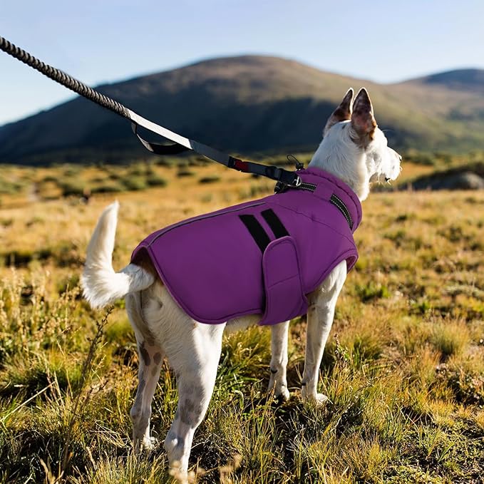 IECOii Winter Dog Coat for Extra Large Dogs, Waterproof Reflective Dog Snow Jacket for Giant Breeds, Built in Collar Snowsuit Thermal Dogs Cold Weather Coats for Great Dane, Purple - 4XL