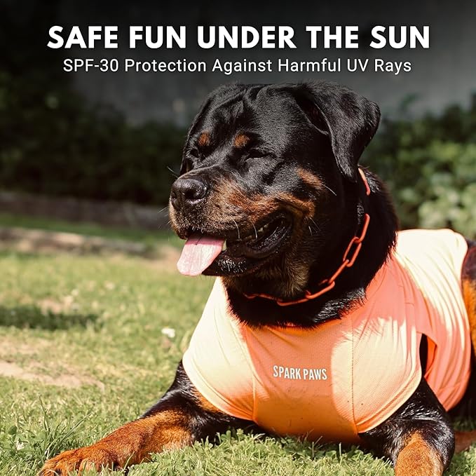Spark Paws Sunblock Dog T-Shirt, SPF30 Protection, Lightweight Breathable Quick Dry for Dogs with Sensitive Skin - Purple & Peach (Set of 2) - S