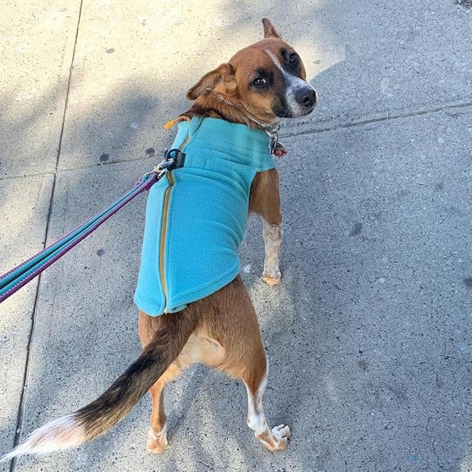 Gooby Turquoise X-Large Fleece Dog Sweater - Warm Winter Jacket with Dual D Ring Leash - Machine Washable Pet Apparel