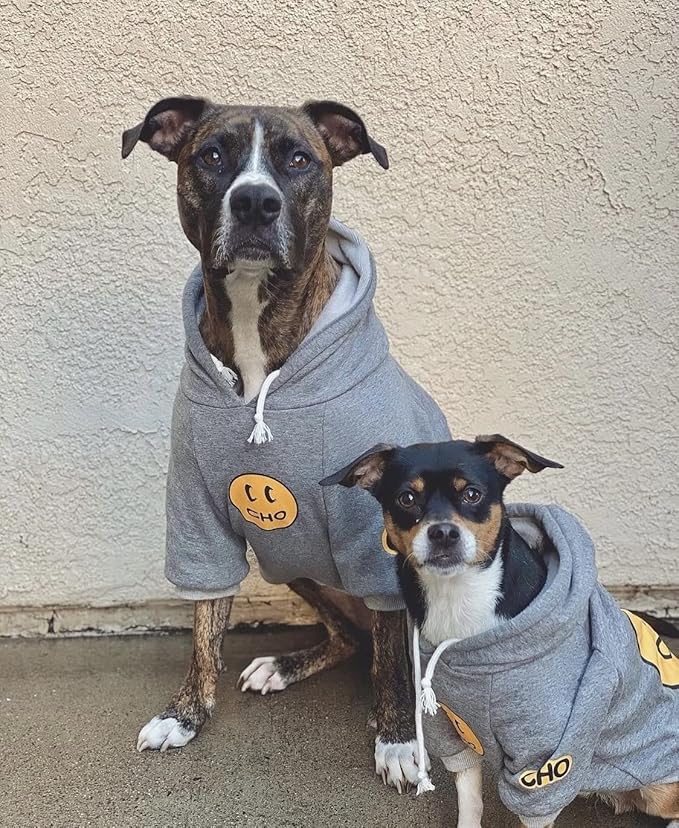 ChoChoCho Smiley Dog Hoodie Stylish Dog Clothes Smiley Face Sweater Cotton Sweatshirt Fashion Outfit for Dogs Cats Puppy Small Medium Large (XX-Large, Grey)