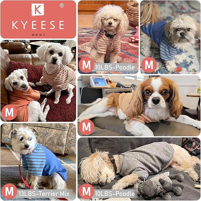 KYEESE 3Pack Dog Sweater Soft Cat Clothes Lightweight Dog Sweaters for Small Dogs Male Comfy Dogs Sweatshirt Pullover Pet Coat Stretchy Cat Sweaters Pet Fleece Sweater with Sleeves for Cold Weather