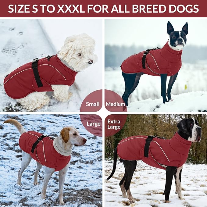 Queenmore Small Dog Coat, Winter Jacket, Waterproof Puffy Snowsuit, Adjustable Reflective Fleece Lining Warm Padding Parka for Cold Weather, Red S