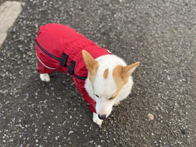 Dogs Waterproof Jacket, Lightweight Waterproof Jacket Reflective Safety Dog Raincoat Windproof Snow-Proof Dog Vest for Corgis Dachshund Small Medium Large Dogs Red D-M