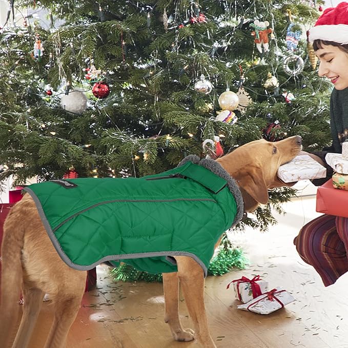 Fragralley Dog Coat Medium, Waterproof Dog Jacket with Warm Fleece Lining, Adjustable Reflective Dogs Winter Coat, Turtleneck Pet Coats for Cold Weather (Green M)