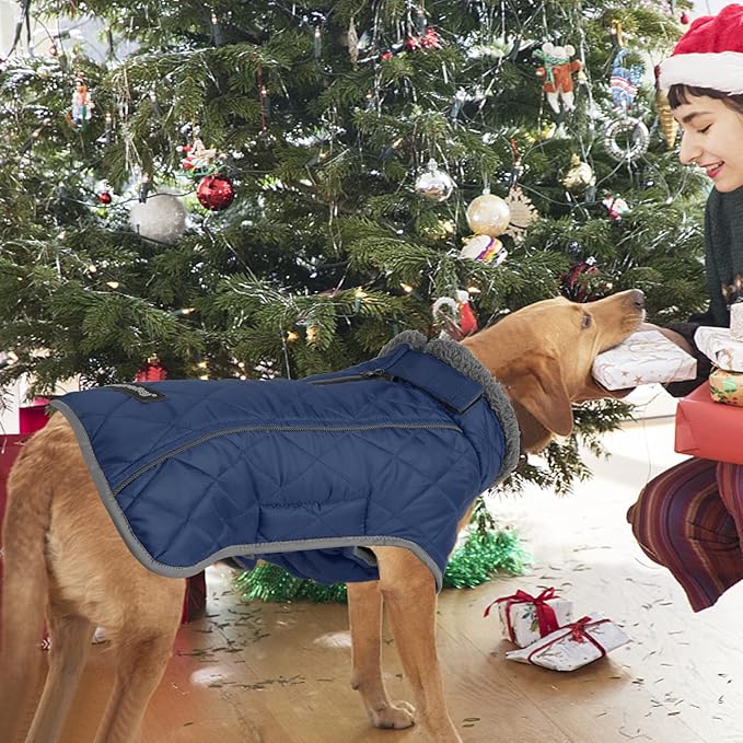 Fragralley Dog Coat Medium, Waterproof Dog Jacket with Warm Fleece Lining, Adjustable Reflective Dogs Winter Coat, Turtleneck Pet Coats for Cold Weather (Blue M)