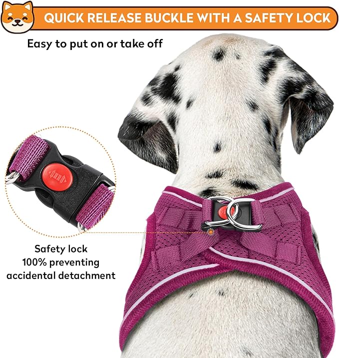 Dog Harness with Leash Set, No-Pull Step-in Reflective Pet Harness with 1 Leash Clips, Adjustable Soft Padded Easy Walk Dog Vest for Small Medium Large Dogs, Cats(Rose Red, Small)