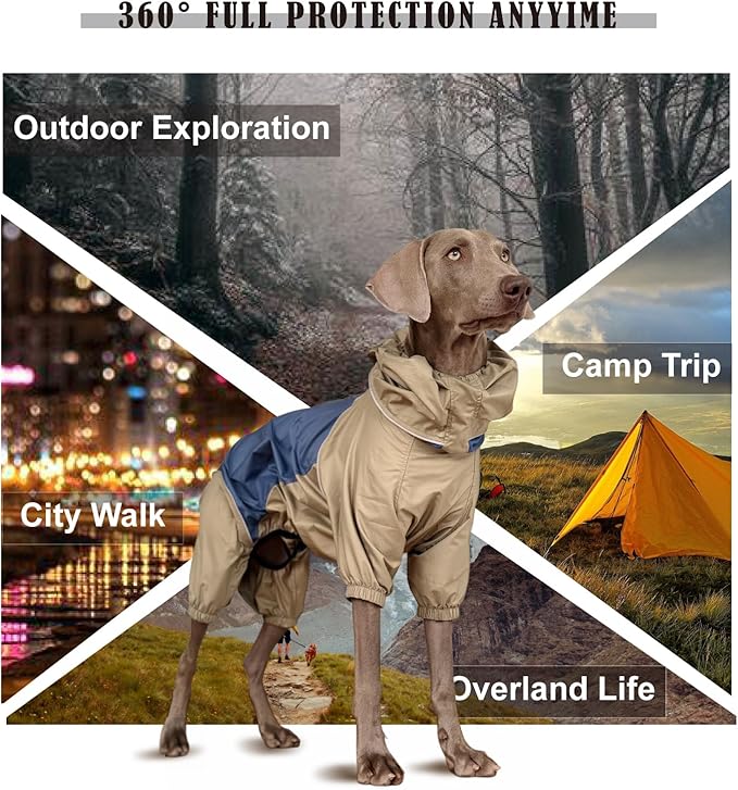 Dog Lightweight Windbreaker, Pet Outdoor Sports Jacket, 0.5 lbs,3 in One, Hooded, Easy on/Off with Collar and Harness, Reflective Piping, Packable, Dog Hiking/Camping, Navy Blue (Large)