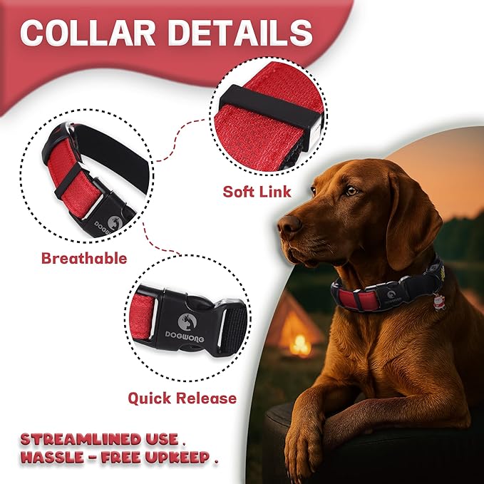 DOGWONG LED Dog Collar - Heavy Duty Light up Collars - Rechargeable Waterproof - Lighted Dog Collar for Night Walking, Hiking, Camping(Red,S)