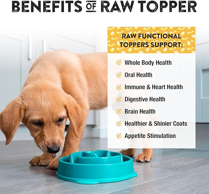 Northwest Naturals Freeze-Dried Whole Chicken Egg Functional Topper - for Dogs & Cats - Healthy, 1 Ingredient, Human Grade Ingredients, All Natural, Proudly Made in USA, 4 Oz (Pack of 1)