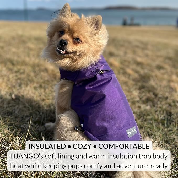 DJANGO Reversible Puffer Dog Coat – Warm Winter Dog Jacket & Water-Repellent Insulated Dog Coat w/Harness Hole, Windproof, Adjustable Fit for Small & Medium Dogs, Dachshunds – Violet Purple, Large