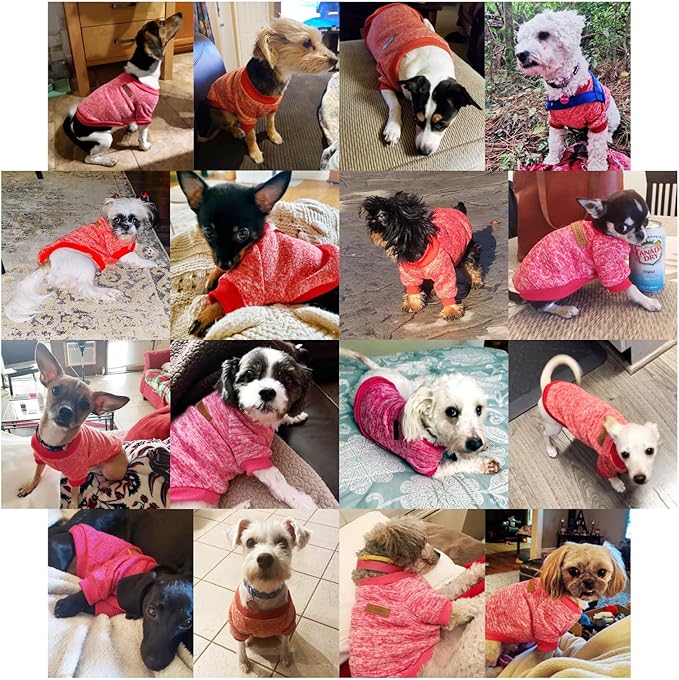 Jecikelon Dog Clothes Dogs Sweater Soft Puppies Clothing Winter Puppy Sweaters Warm Outfit for Dogs Small XXS XS Cat Apparel (Red, M)
