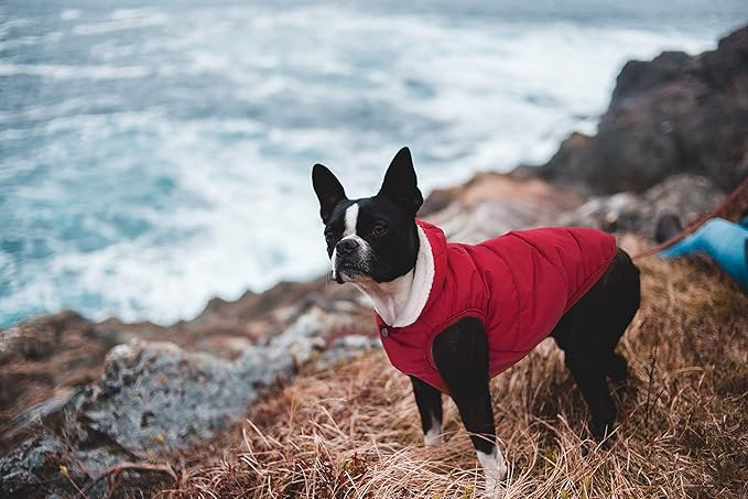Fleece Hoodie, Windproof Waterproof Coat, Winter Warm Jacket, Cold Weather Pet Apparel Clothes Vest for Small Medium Large Dogs (3XL, Red)