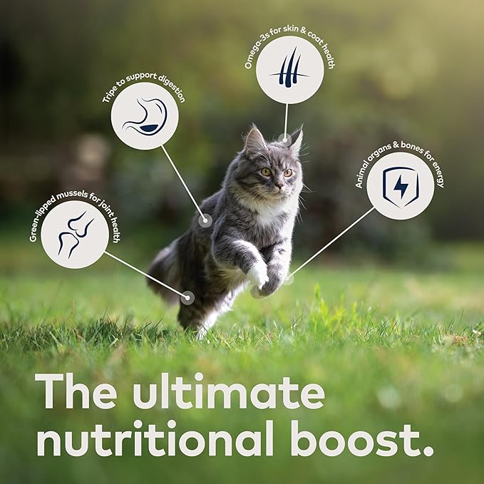 ZIWI Peak Wet Cat Food – All Natural, High Protein, Grain Free, Limited Ingredient, with Superfoods (Rabbit & Lamb, Case of 12, 6.5oz Cans)