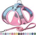 AIITLE Step in Dog Harness and Leash Set - Summer No Pull Escape Proof Vest Harnesses with Soft Mesh and Reflective Bands, Adjustable Pet Outdoor Harnesses for Small and Medium Dogs Pink M