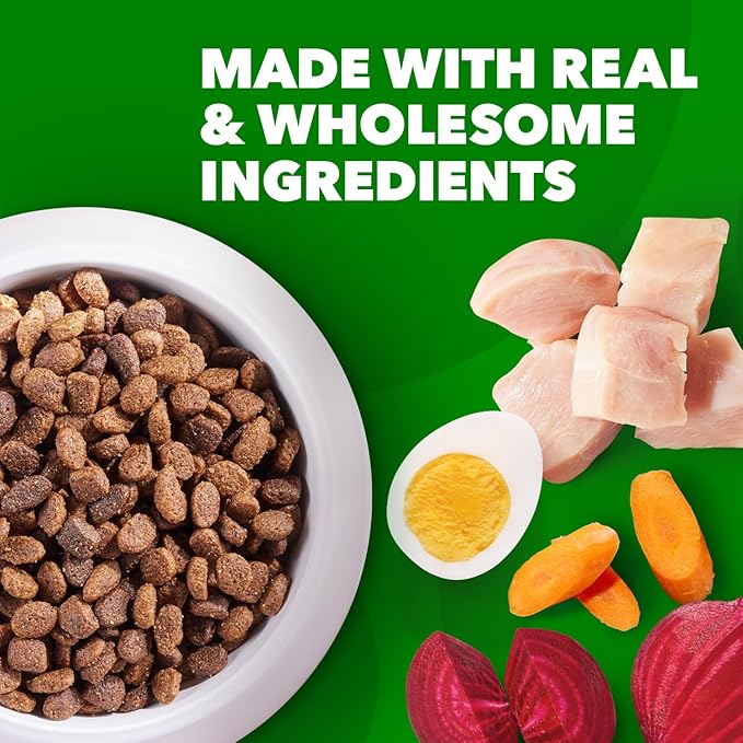 IAMS Proactive Health Minichunks Adult Dry Dog Food with Real Chicken, 7 lb. Bag