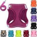 Dog Harness with Leash Set, No-Pull Step-in Reflective Pet Harness with 1 Leash Clips, Adjustable Soft Padded Easy Walk Dog Vest for Small Medium Large Dogs, Cats(Rose Red, Medium)