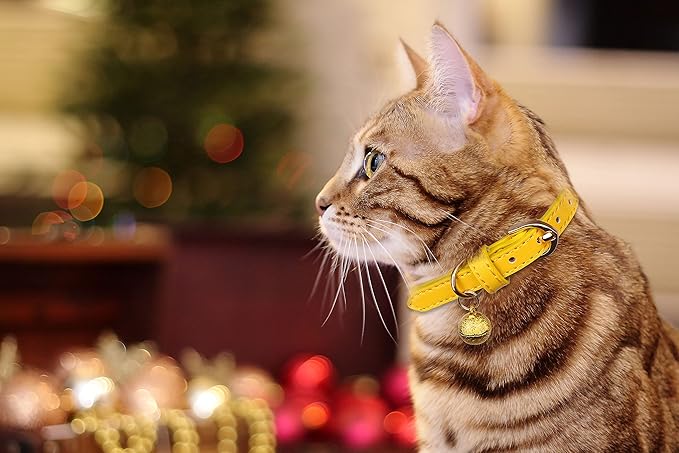 3 Pack Leather Cat Collars with Bells Soft Pet Safety Collar Kitten Collars with Bell Orange Yellow Mint Green(XS)