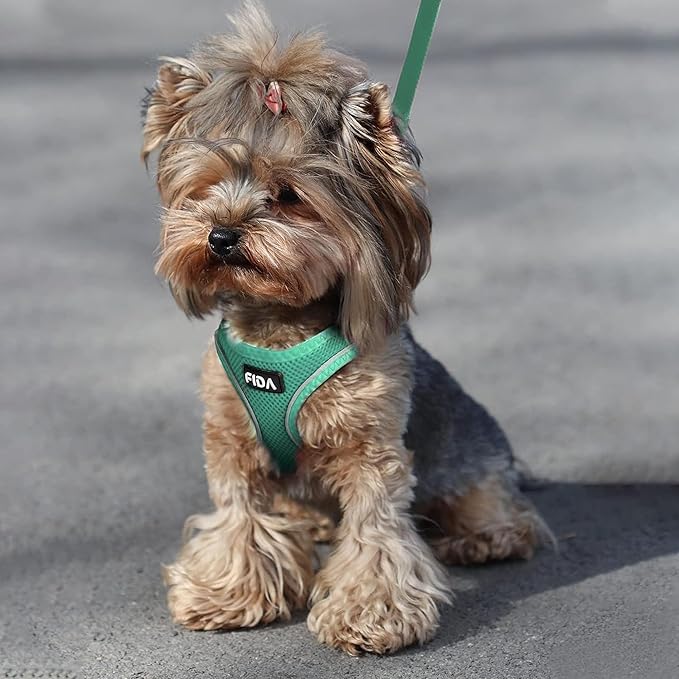Fida Cat Harness and Leash Set for Walking Kitten and Puppy, Escape Proof Kitten Harness with Breathable Lightweight Soft Mesh, Adjustable Reflective Step-in Design. (XXXS, Green)