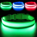 YFbrite Light up Dog Collar, USB Rechargeable LED Puppy Collar Super Bright Adjustable Glowing Dog Lights for Night Walking (Design 2-Green, Large)
