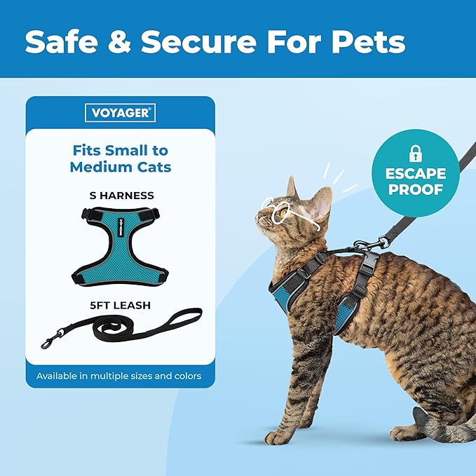 Voyager Escape Proof Cat Harness and Leash Set with Reflective Stitching, Neoprene Handle 5ft - Supports Small, Medium and Large Cats, Kittens for Walking by Best Pet Supplies - BT-Turquoise, S