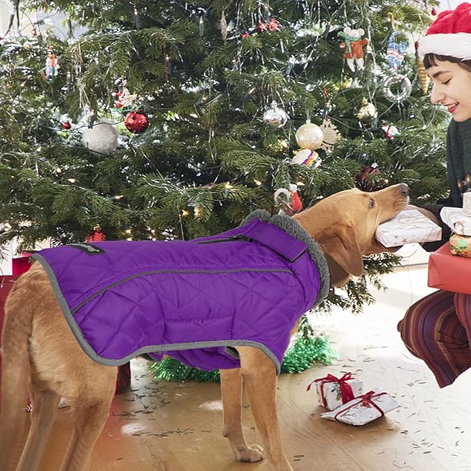 Fragralley Dog Coat Large, Waterproof Dog Jacket with Warm Fleece Lining, Adjustable Reflective Dogs Winter Coat, Turtleneck Pet Coats for Cold Weather (Purple L)