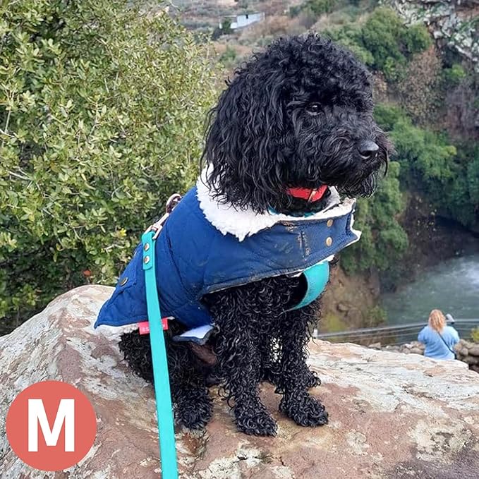 KYEESE Dog Coat Soft Pet Sweater for Cold Weather Waterproof Dogs Jacket with Fleece Lined Warm Pet Winter Coat with Leash Hole Thick Cat Clothes with Pocket Windproof Dog Puffer Coats for Small Dogs