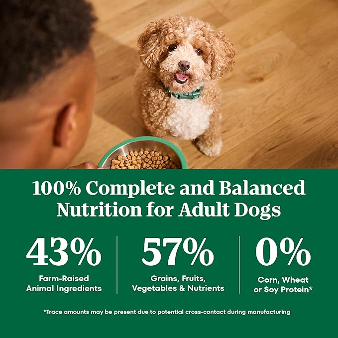 Nutro Natural Choice Chicken & Brown Rice Adult Small Bites Dog Food Recipe, 30 lb. Bag
