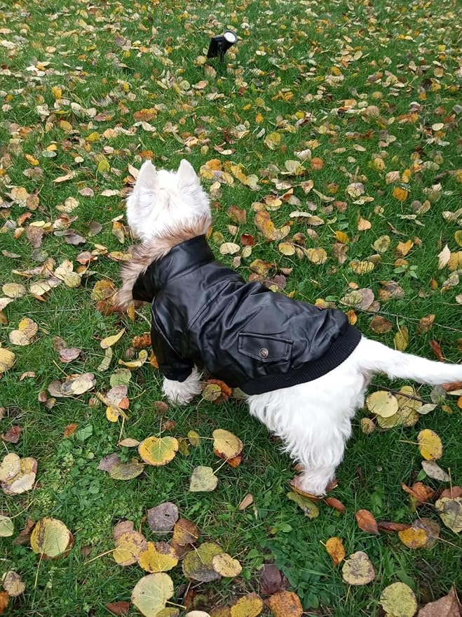 PETLESO Dog Coat for Small Dogs, Dog Leather Jacket Waterproof Windproof, Double Layer Warm Dog Winter Coat with Plush Lined, Black XXL