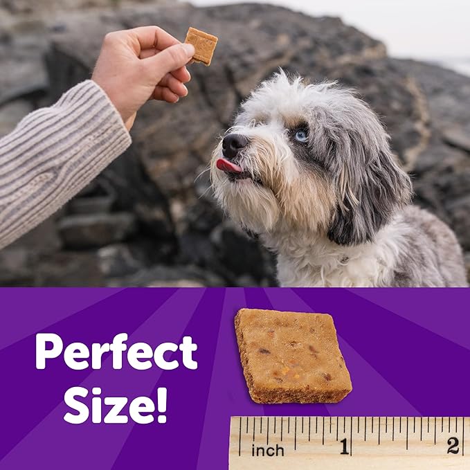 Wellness Rewarding Life Dog Treats, Training Treat, Grain Free, Soft Turkey & Duck (6 Ounce Bag)