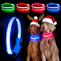 YFbrite Light up Dog Collar, USB Rechargeable LED Puppy Collar Super Bright Adjustable Glowing Dog Lights for Night Walking (Blue, Medium)