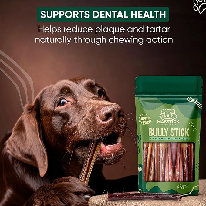 MASSTICK Bully Sticks for Dogs 6 Inch – Extra Thick, Long Lasting, Odor Free Beef Dog Chew Sticks – All Natural, Fully Digestible Treats for Small & Large Dogs – 8oz Bag