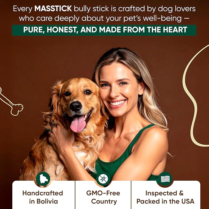 MASSTICK Bully Sticks for Dogs 7 Inch – Extra Thick, Long Lasting, Odor Free Beef Dog Chew Sticks – All Natural, Fully Digestible Treats for Small & Large Dogs – 8oz Bag