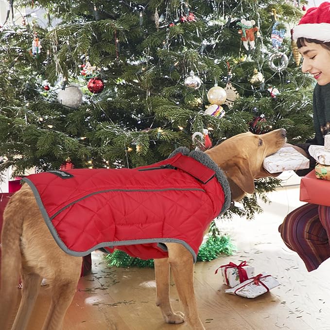 Fragralley Dog Coat Large, Waterproof Dog Jacket with Warm Fleece Lining, Adjustable Reflective Dogs Winter Coat, Turtleneck Pet Coats for Cold Weather (Red XXXL)