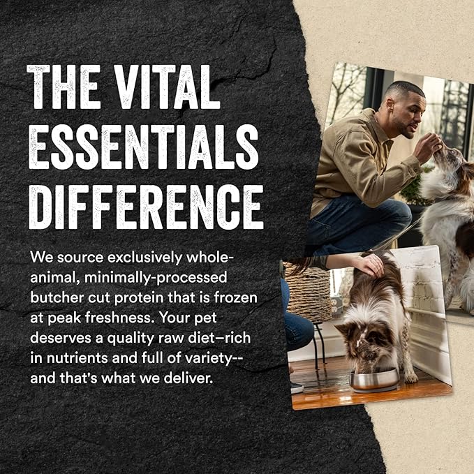 Vital Essentials Freeze Dried Raw Protein Mix-in Dog Food Topper, Salmon Mini Nibs Topper for Dogs, 6 oz