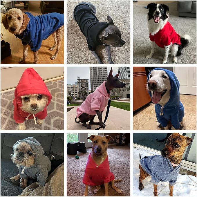 KOOLTAIL Basic Dog Hoodie - Soft & Warm Dog Hoodie Sweater with Leash Hole and Pocket, Dog Winter Coat, Cold Weather Clothes Sweatshirt for Small Medium Large Dogs Puppy Cat Boys Girls Green L