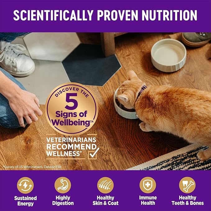 Wellness Complete Health Adult Dry Cat Food for Indoor Cats, Grain Free, Natural, Salmon and Herring Meal (5.5 Pound Bag)