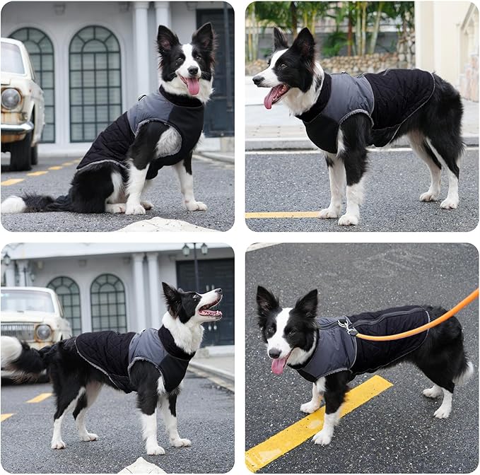 Warm Fleece Dog Coats for Small Dogs,D-Rings Waterproof Puppy Jacket for Cold Winter,Black XS