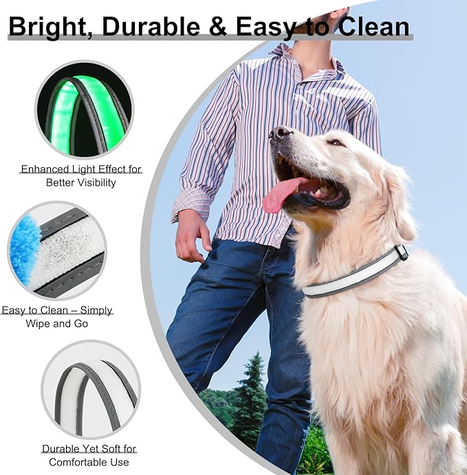 Light Up Dog Collar, Multicolor LED Dog Collar with 7 Modes, USB-C Rechargeable Reflective Glow Collar, Waterproof & Adjustable Design with Battery Indicator for Safe Night Walks(Medium)